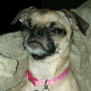 Meet your Posher, Evaristojr